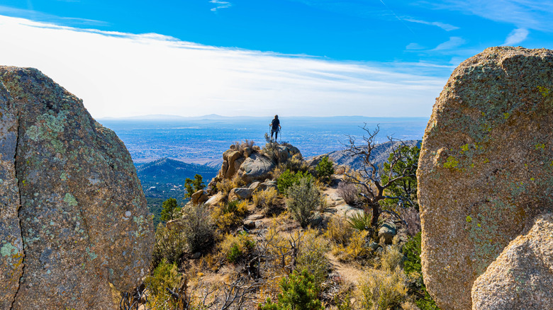 Endless Trails, Views, and Activities Await in New Mexico's National Forest Southwest of Albuquerque