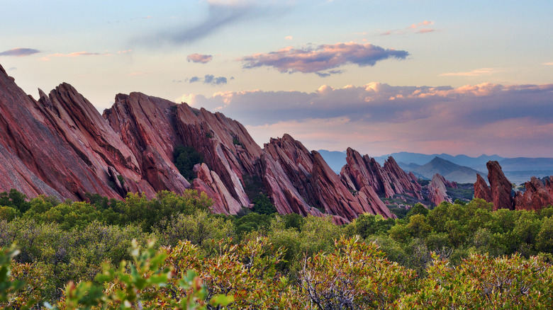 Discover the Red Rock Formations and Vibrant Flowers of This Colorado State Park Just South of Denver