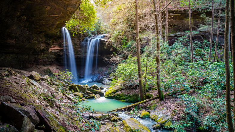 Experience Luxury Lodging at This Eastern Kentucky Resort in the Heart of Red River Gorge