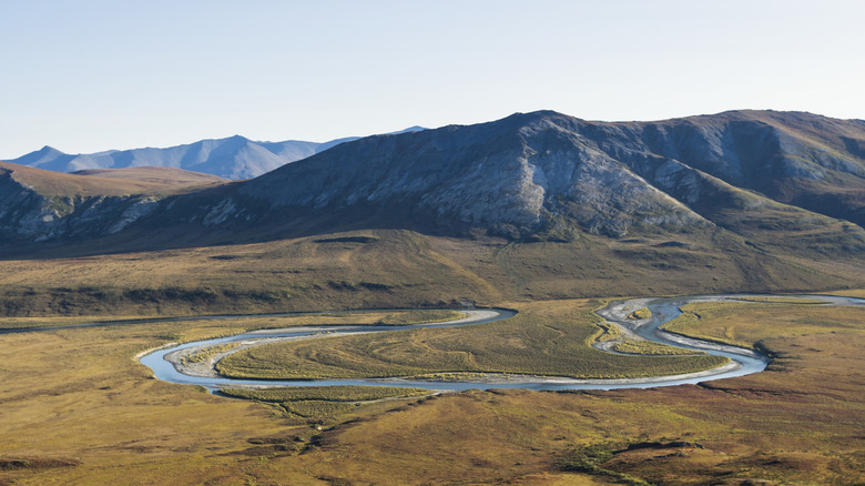 Alaska's Grand Canyon: A Wild Marvel in America's Largest Pristine River Basin