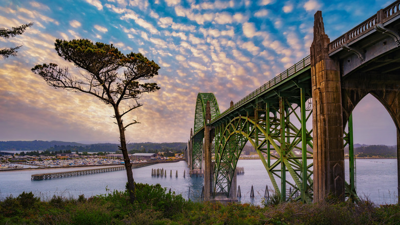 A Captivating Coastal City in Oregon: A Hub of Outdoor Adventure and Quirky Charm