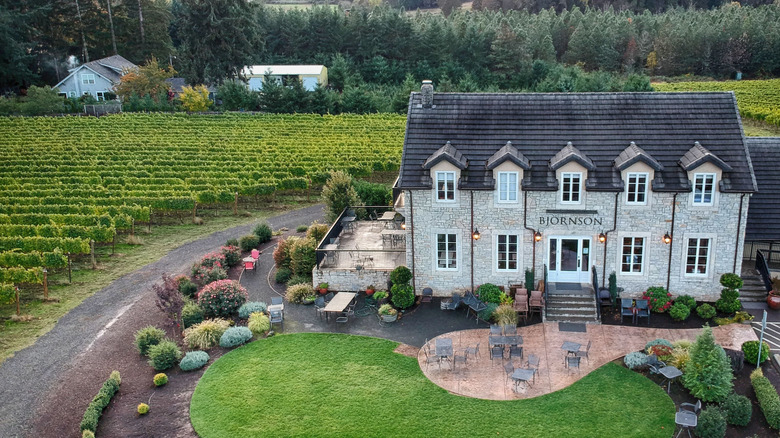 Discover an Award-Winning Eco-Friendly Winery in the Heart of Oregon's Picture-Perfect Willamette Valley