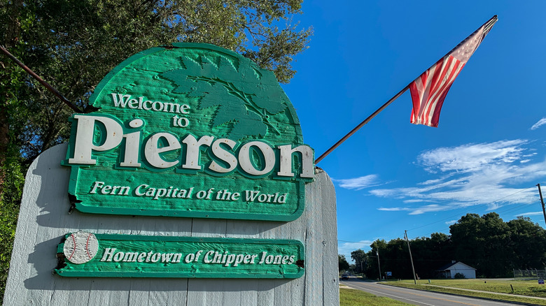 Nestled Between Orlando and Jacksonville: Discover Florida's Sunny Town, the 'Fern Capital of the World'