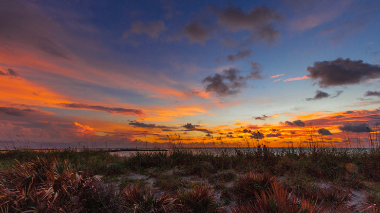 Florida's 'Sunrise City': A Beach Paradise Offering Serene Snorkeling, Charming Shops, and Small-Town Charm