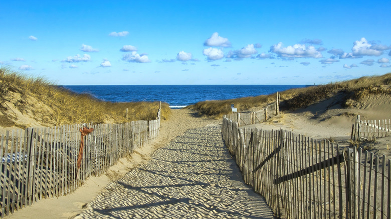 Cape Cod's Tranquil Dunes: A Stunning Beach Paradise Stretching Along Massachusetts' Coastline