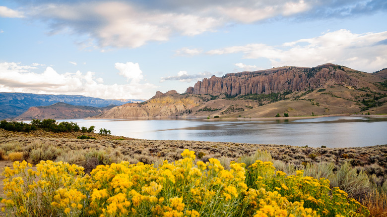 Discover the Adventure and Beauty of Colorado's Largest Underrated Recreation Area
