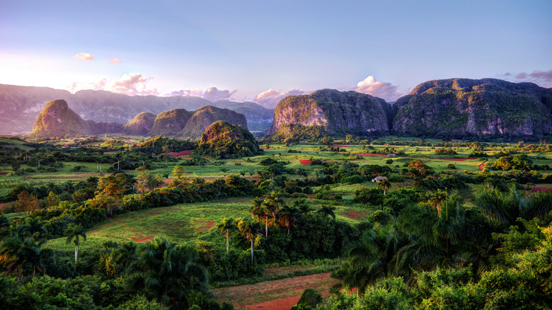 Rick Steves Describes Horseback Riding Through This Lush Cuban Valley as 'A Trip Highlight'