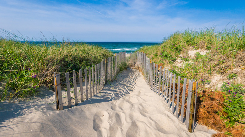 The Cape Cod Beach Town With a Hidden Phenomenon Allowing Miles of Walking at Low Tide