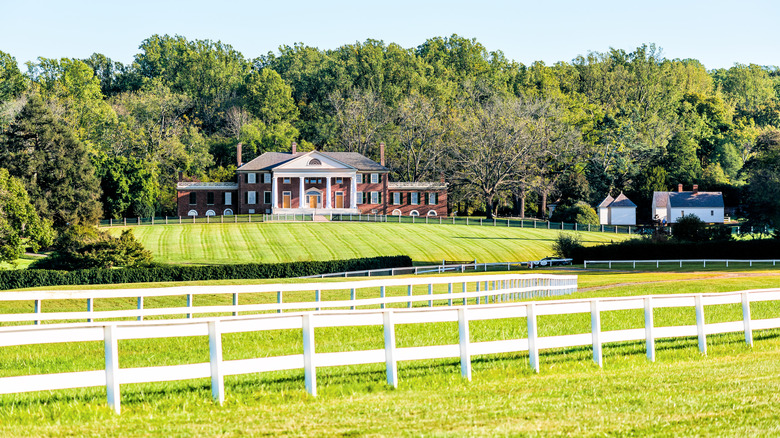 Discover Virginia's Charming Town: A Patriotic Getaway with Boutique Shops and Presidential Heritage