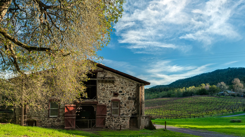 Sonoma County's Hidden Gem: A Literary Retreat Amidst California's Majestic Redwoods