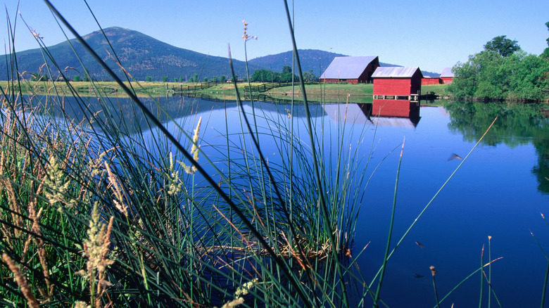 Discover California's Secret Paddler's Paradise: A State Park with Volcanic Shores and Tranquil Springs