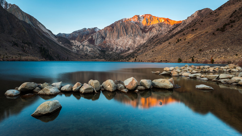 Essential Information on Hantavirus for Visitors to This Popular California Mountain Town