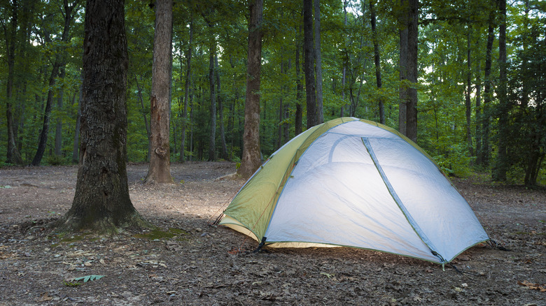 Explore the Enchanting Mountain Region of North Carolina with Hidden Lakes and Bigfoot Legends
