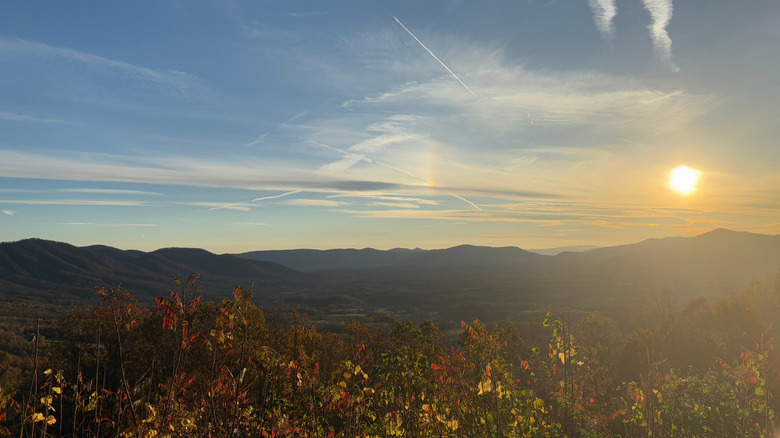 Charming Mountain Town on Virginia's Blue Ridge Parkway Boasts Numerous Independent Shops and a Treehouse Resort
