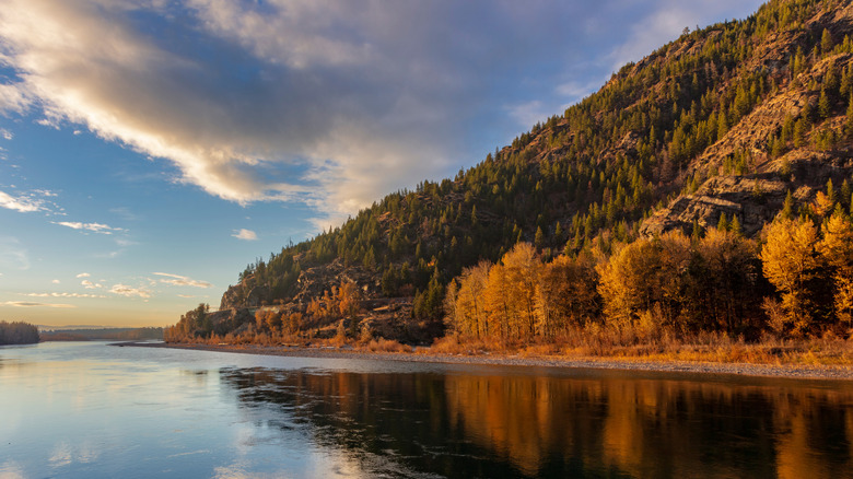 Montana's River Canyon: A Wild Wonder with Hidden Springs, Majestic Eagles, and Unparalleled Recreation