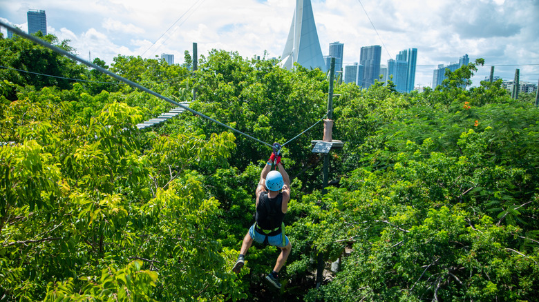 Miami's Aerial Park: A Family-Friendly Adventure Paradise in Florida with Zip-Lining and Exciting Obstacle Courses