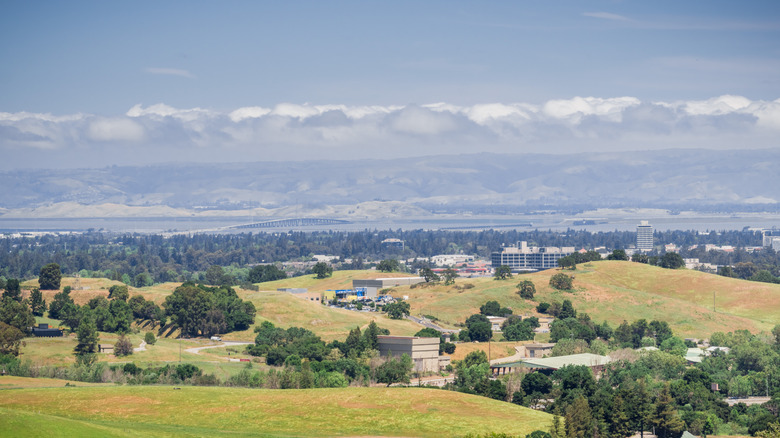 Nestled in the Bay Between San Francisco and San Jose: A California Foodie City with Unparalleled Views