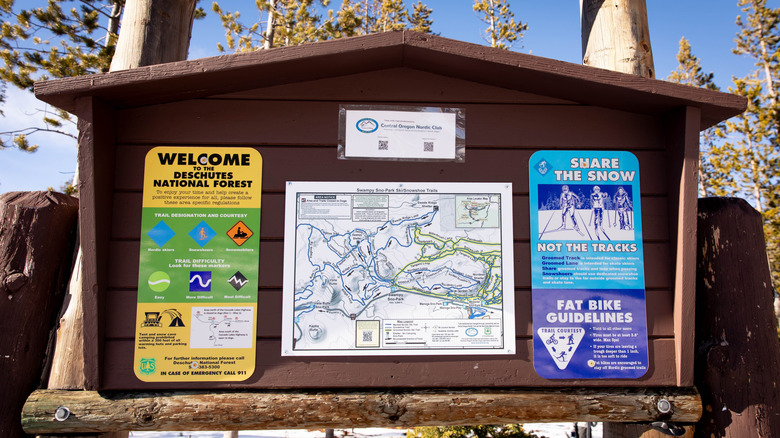 Which Forest Passes Are Required in Oregon and Washington? Here's What You Need to Know