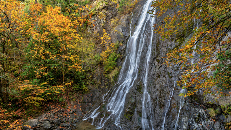 Discover Washington's Family-Friendly Waterfall Trail: A Hidden Roadside Paradise on the Olympic Peninsula