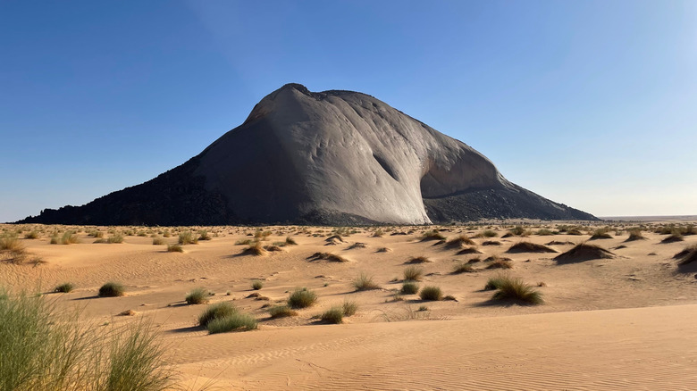 A Hidden Stone Marvel: Discover One of the World's Largest Natural Monoliths in Africa