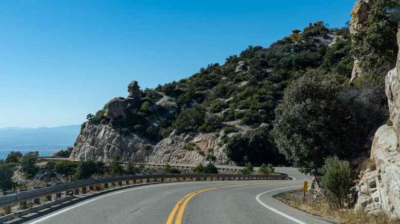 Escape the Summer Heat at the Tallest Peak in Arizona's Santa Catalina Mountains