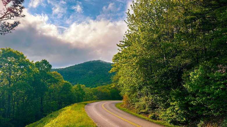 Nestled in Virginia's Blue Ridge Mountains: A Progressive Town with Vintage Treasures, Festivals, and Scenic Views