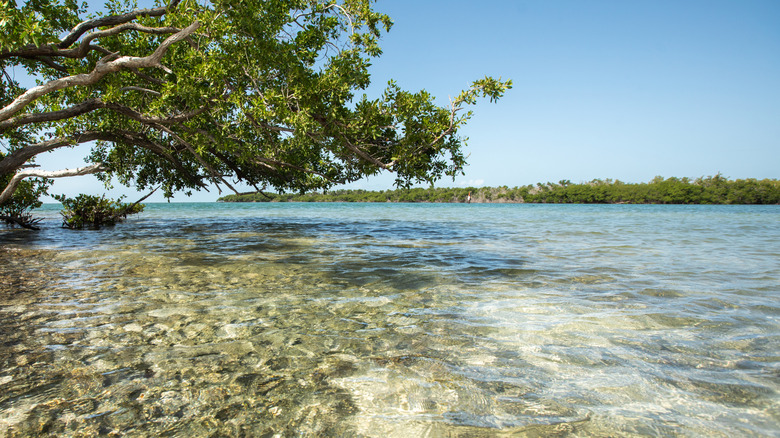 Florida's Hidden Islands in the Keys Offer Caribbean-Like Waters and White Sandbars