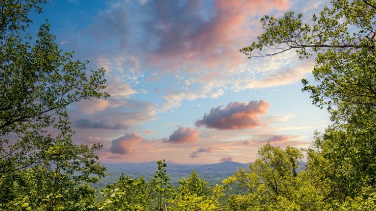Nestled in the Mountains North of Atlanta: Georgia's Charming City with Waterfalls, Trails, and Moonshine