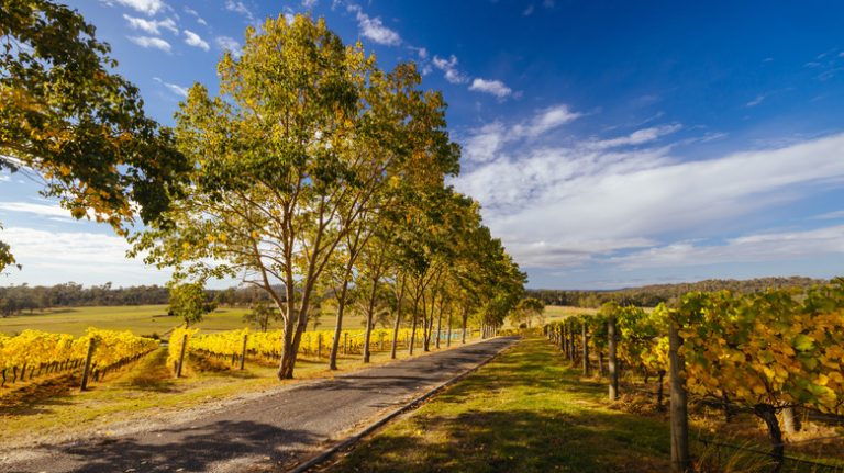 Australia's Historic Riverside City: A Foodie Haven with Fine Wine and Timeless Charm