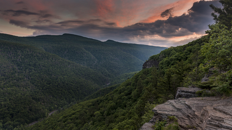Discover the Majestic Canyon in New York's Catskill Mountains: A Hidden Outdoor Recreation Gem