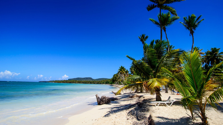 Experience Endless Adventure and Beach Bliss with Horseback Rides at This Affordable Dominican Republic Retreat