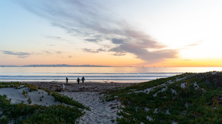 Discover a Picturesque Beach Campground with Calm Waters and Tide Pools Near Santa Barbara, California