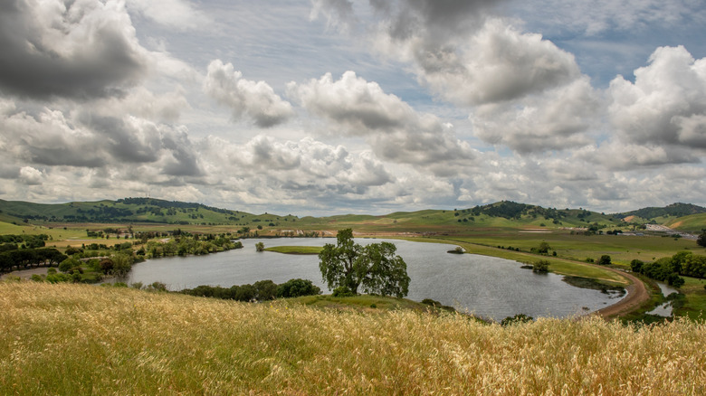 California's Beloved Lagoon Park: A Scenic Outdoor Recreation Haven Teeming with Wildlife