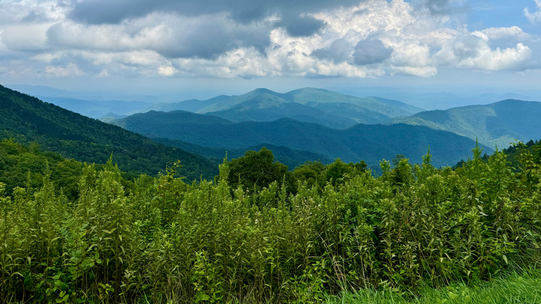 The Ultimate Outdoor and Artsy Escape: Discover the Hiking Capital of Western North Carolina in the Blue Ridge Mountains