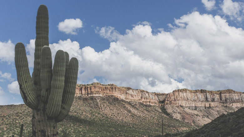 Discover Arizona's Copper Corridor: A Riverside Town with Scenic Trains, Canyon Trails, and Wild Waters