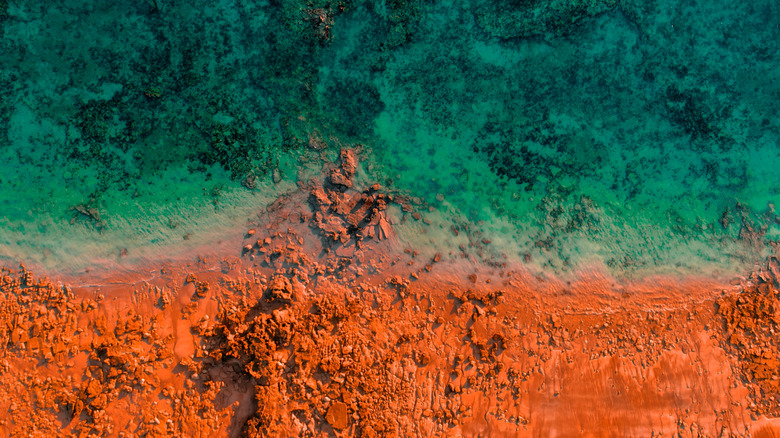 Australia's 'Pearl of the Kimberley': A Coastal Jewel Where Red Cliffs Meet Stunning Turquoise Waters