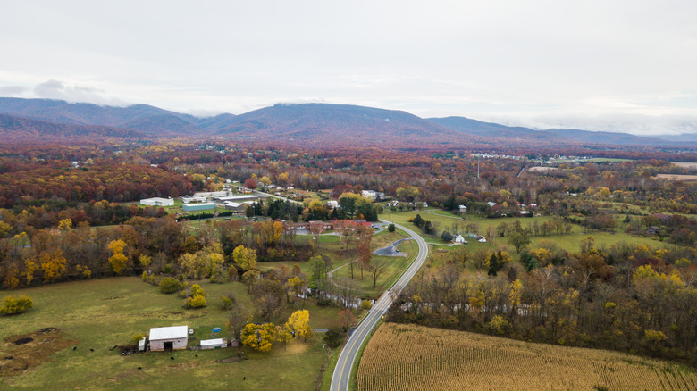 Nestled in Virginia's Shenandoah Valley: A Tranquil Town Brimming with Waterfalls and Wine