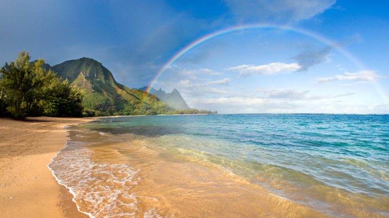Explore Tropical Hawaiian Wonders: Sea Caves, Reef Gardens, and Premier Snorkeling Adventures