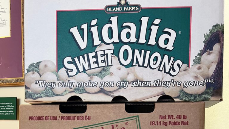 Explore the 'Sweet Onion Capital of the World': A Unique and Fun Georgia City with Unparalleled Cuisine