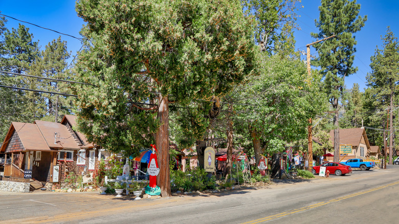 Explore Outdoor Adventures and Quaint Shops in a Charming Village in California's San Jacinto Mountains
