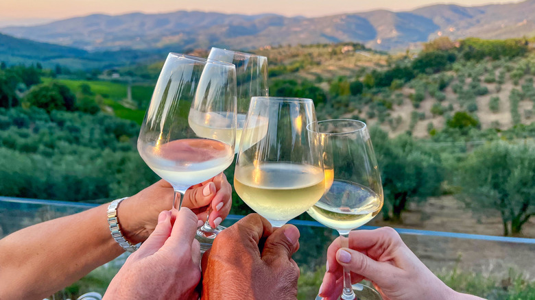 Sonoma or Napa: Choosing the Best California Wine Region Getaway for Your Travel Style