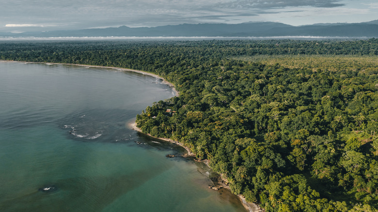 Explore Wisconsin's Unique National Forest: Over 800 Miles of Trails and 2,000 Beautiful Lakes