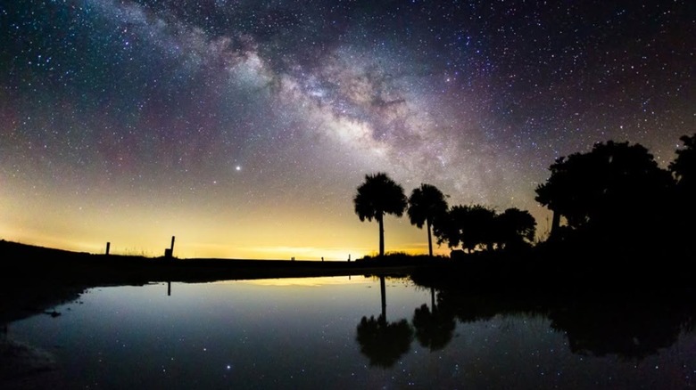 Discover Unparalleled Night Sky Views at This Hidden Gem Preserve in One of Florida's Darkest Areas