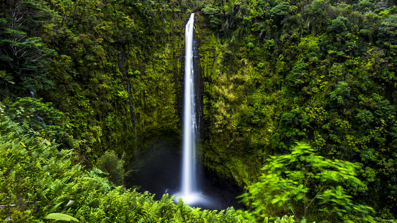 Discover Hawaii's Secret Paradise Beach Park: A Breathtaking Oasis Where Waterfalls Meet the Ocean