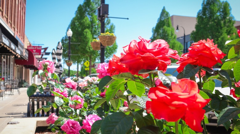 Tulsa's Largest Suburb: A Trendy, Underrated Gem with an Award-Winning Downtown