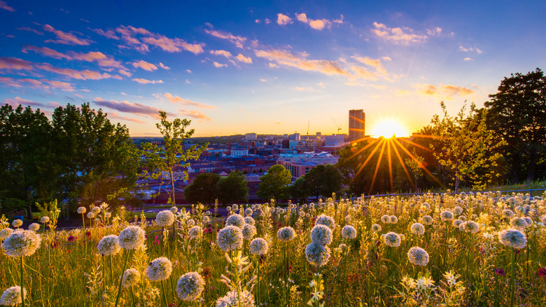Discover Europe's Hidden Gem: A Green City with Perfect Urban Charm