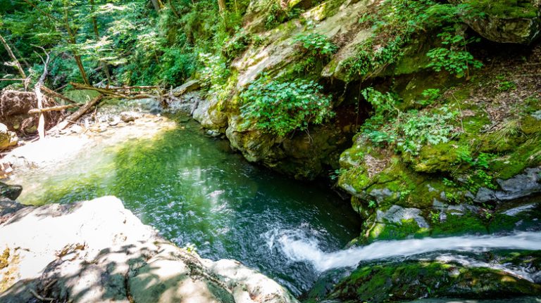 Explore a Scenic Blue Ridge Mountains Trail to a Virginia Swimming Hole with a Natural Water Slide