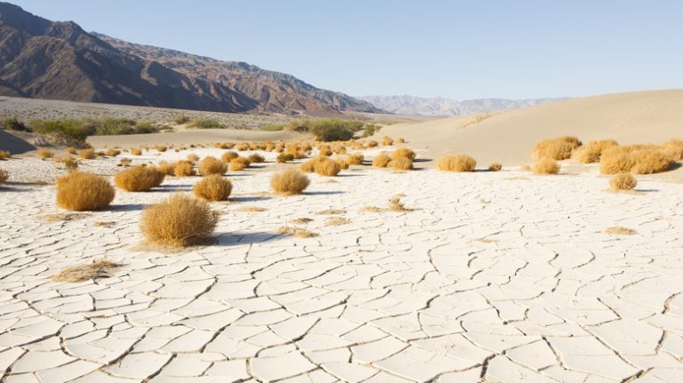 Canyon Visitors in Death Valley Could Experience a Rare and Frightening 'Desert Tsunami'