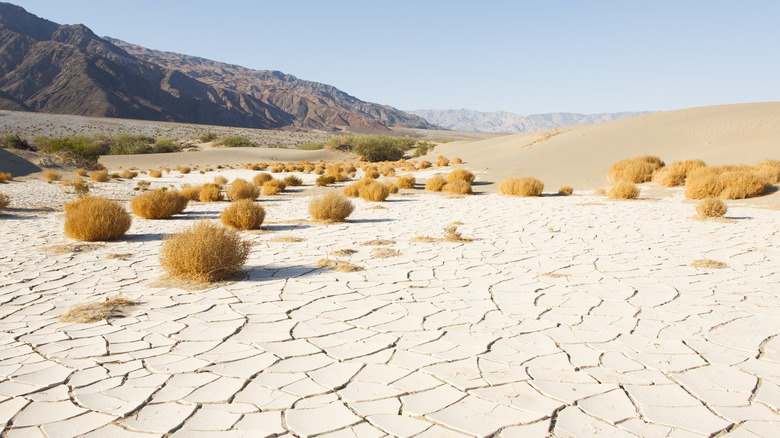 Canyon Visitors in Death Valley Could Experience a Rare and Frightening 'Desert Tsunami'