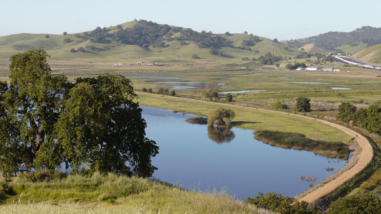 A Charming California City with Lush Scenery Nestled Between San Francisco and Sacramento